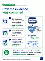 The LDL Paradox